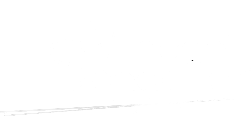 Vincent Schaeffer Arts